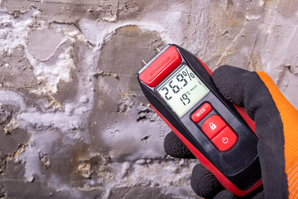 Best Mold Remediation  in Haviland, NY